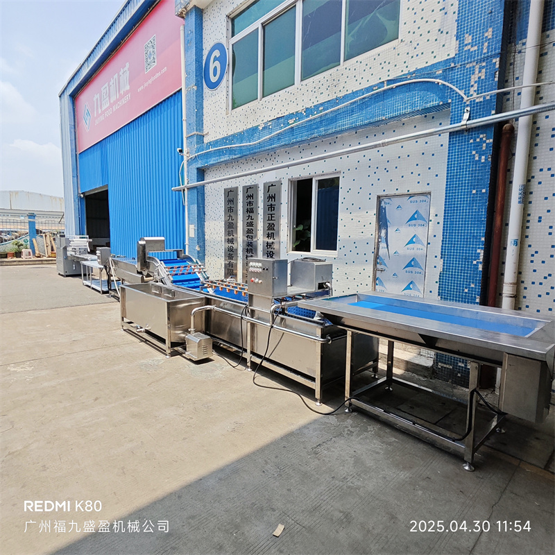 水果清洗包裝生產（chǎn）線正式發貨